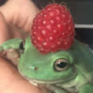 Meet your Posher, Nash